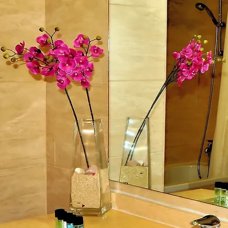 Sercotel Maya Hotel Alicante
